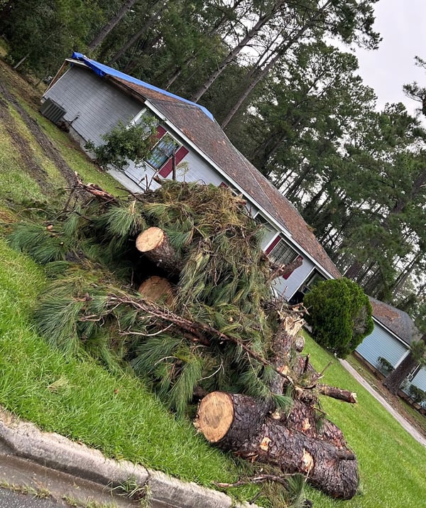 Booker home after clearing fallen trees